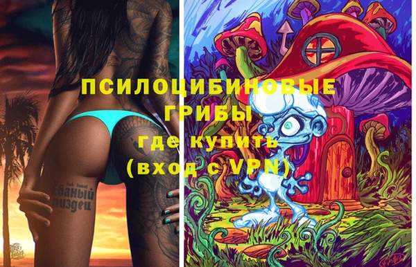 соль курить ск Ростов
