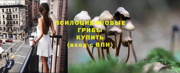 Альфа ПВП Россошь